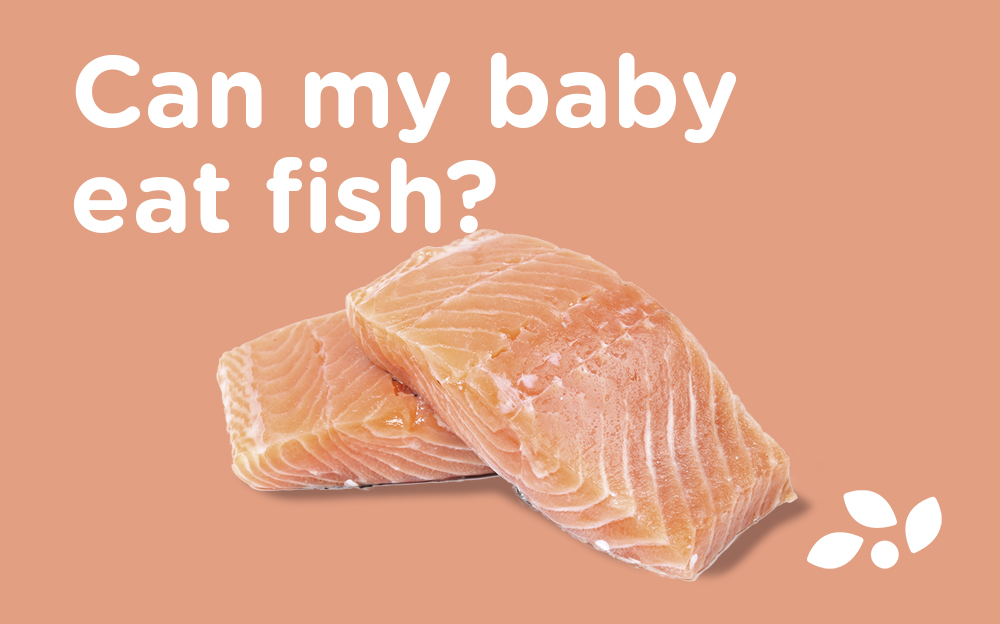 Can my baby eat fish?