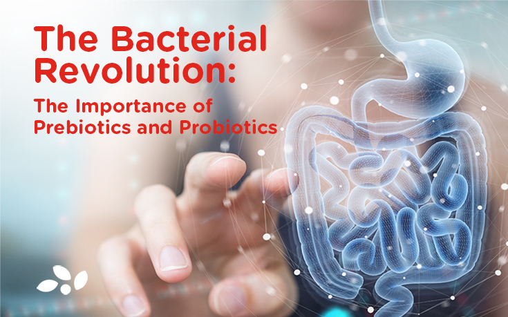 The bacterial revolution: the importance of probiotics and prebiotics.