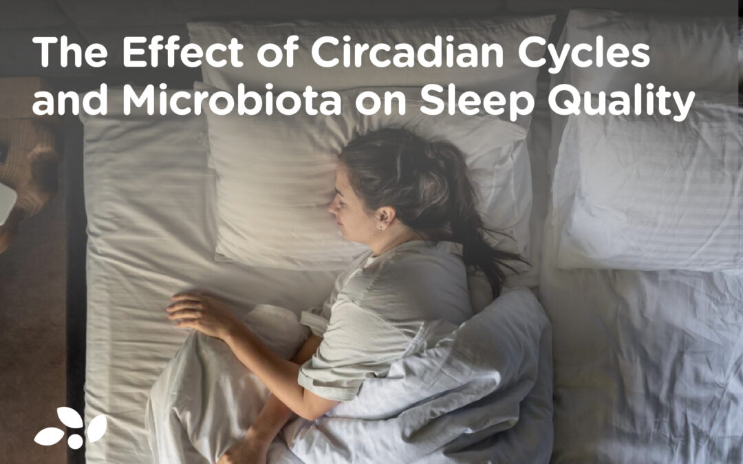 The Effect of Circadian Cycles and Microbiota on Sleep Quality