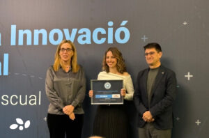 Business Innovation Award